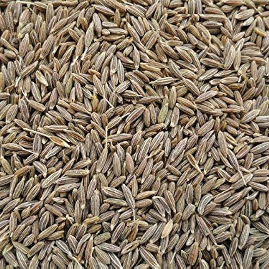 Jeera Seeds | Cumin Seeds - The Natures Palm