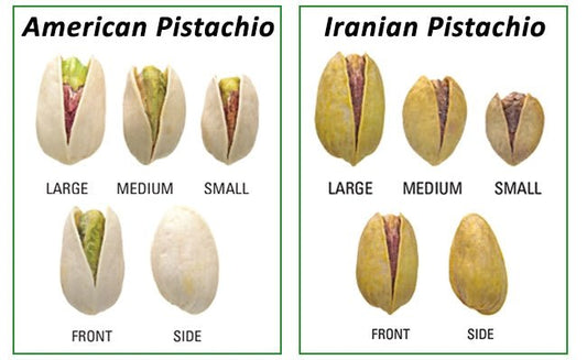 Pistachios Irani | Premium Big Size | Pista - The Natures Palm