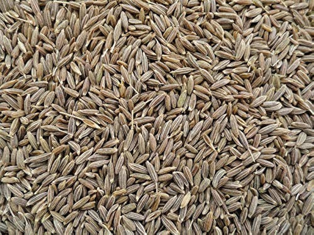 Jeera Seeds | Cumin Seeds - The Natures Palm