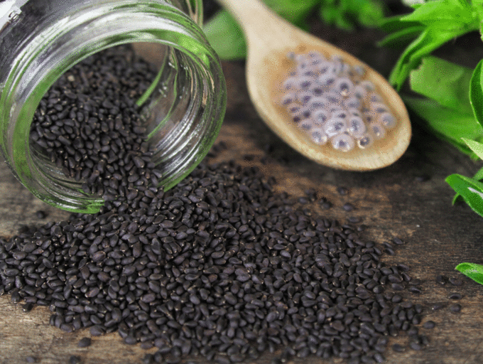 Basil Seeds | Tukmaria Seeds | Sabja Seeds - The Natures Palm