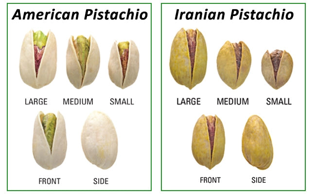 Pistachios Irani | Premium Big Size | Pista - The Natures Palm