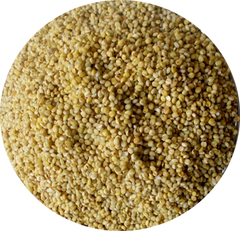 Browntop Millet Whole | Hari Kangni | Positive Millets - The Natures Palm