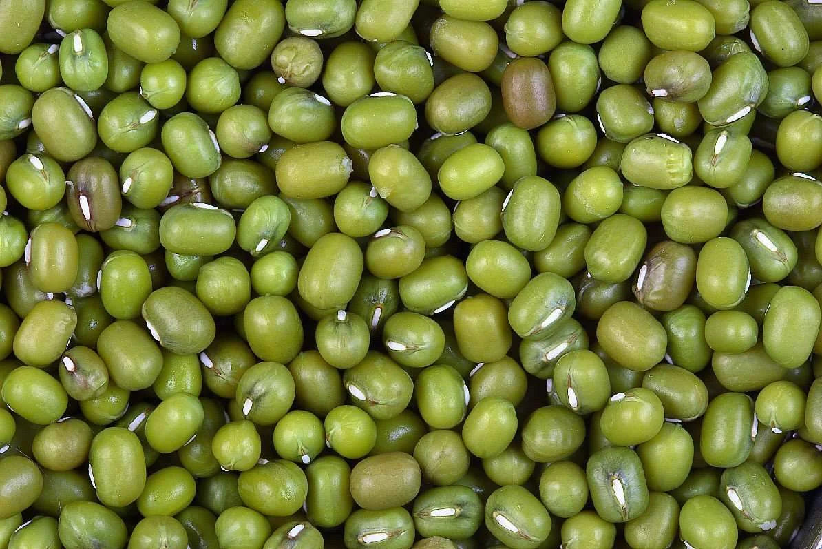 Moong Saabut | Green Gram Whole | Unpolished Pulses | Natural - The Natures Palm