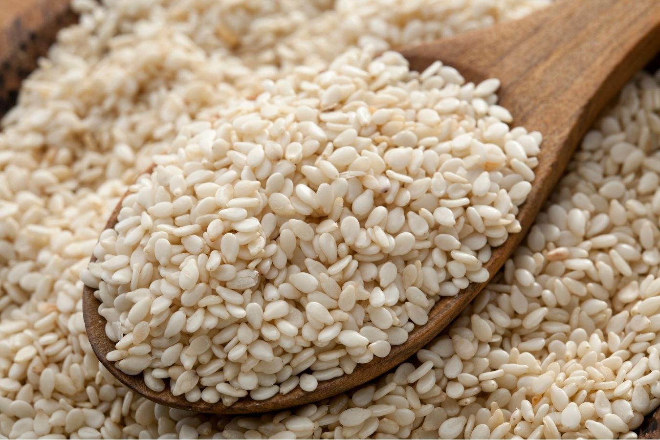 Safed Til (White Sesame Seeds) - The Natures Palm