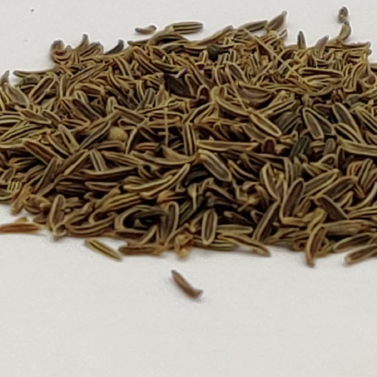 Shahi Jeera | Zeera Kala Asli | Green Cumin | Caraway Seeds | Royal Cumin seed - The Natures Palm